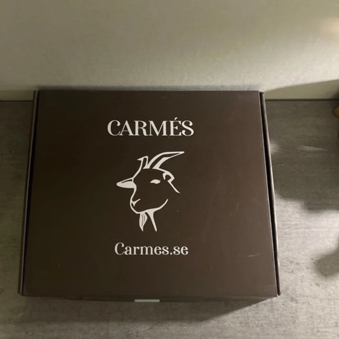 Grå hoodie i kashmir från Carmés - 2