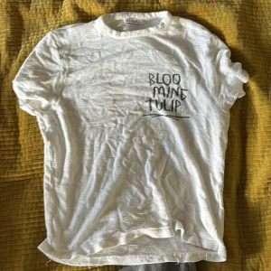 T shirt Zara small  - En snygg t shirt från Zara med cool bild på baksidan i storlek small för män 
