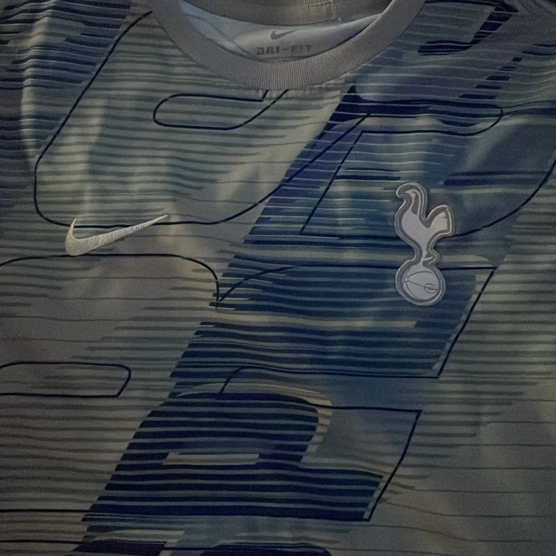 Tottenham Hotspur fotbollströja träningströja  - 2