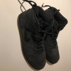 Nike dunks  - Köpta på streetlab. Har ett stygn som gått upp lite. Storlek 43. 
