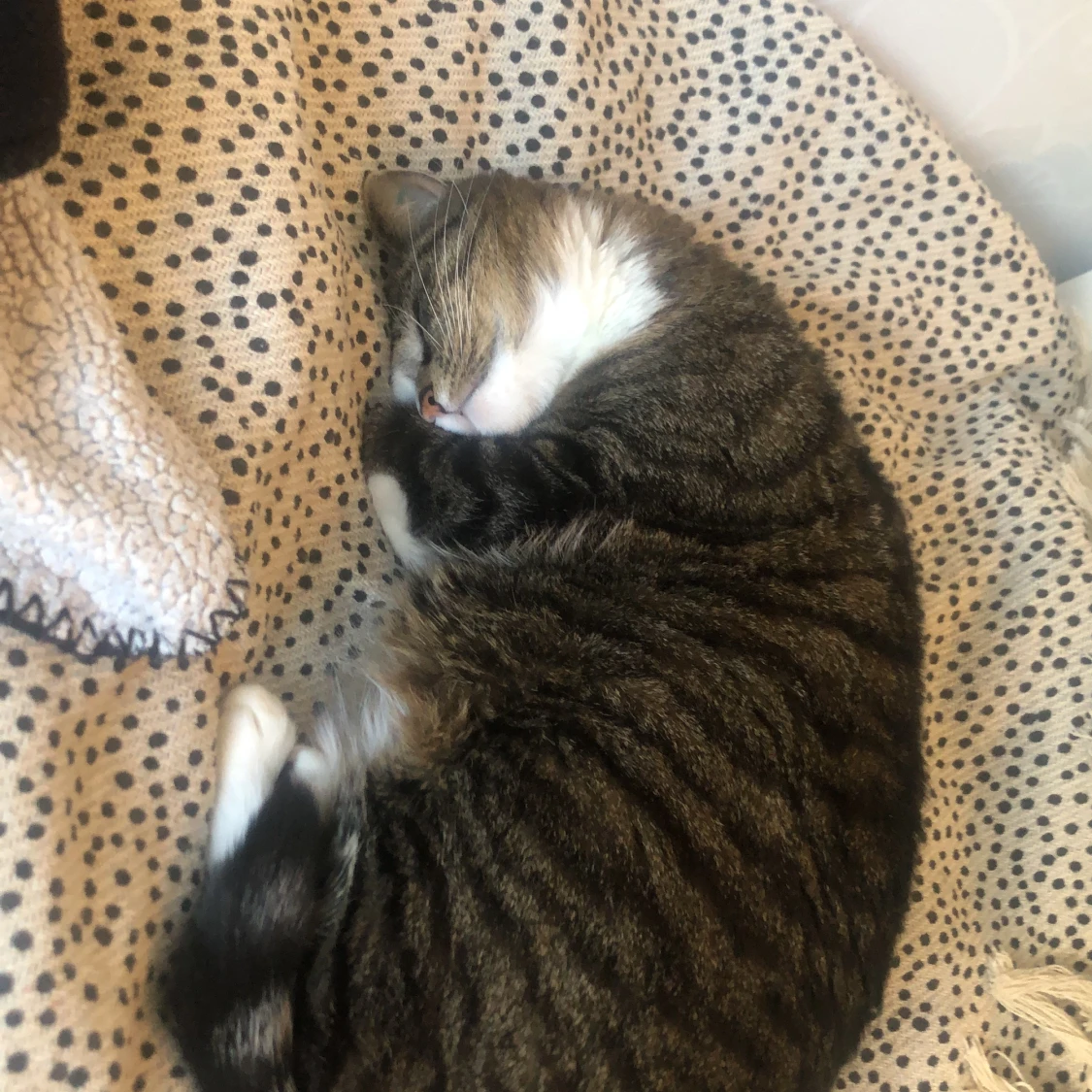 Striped long sleeved shirt with buttons  - 91