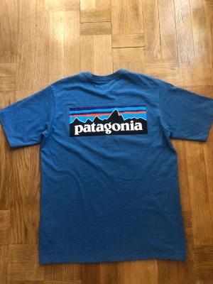 Patagonia t-shirt  - T-shirt från patagonia. Aldrig använd så väldigt fint skick! Storlek S herr, kanske M i kvinnostorlekar?  Köptes i Patagonia butik i usa😊