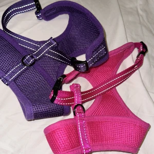 Hundselar - Passar liten hund 10kr/st