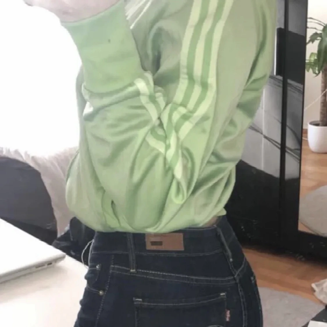 Sage Grön adidas kofta