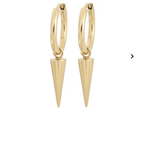 Örhängen Edblad nitar - Fina örhängen från Edblad. Byter gärna mot ett par likadana i silver!! Annars säljes för 399.