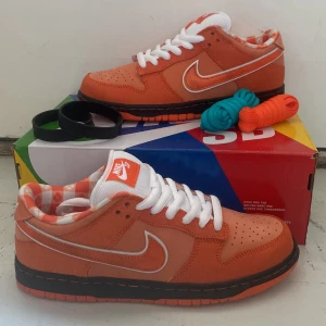 Nike sb dunk orange lobster, skit snygga sb dunk och helt nya inget kvitto. Sjukt bra kvalite. Priset kan diskuteras om - Orange