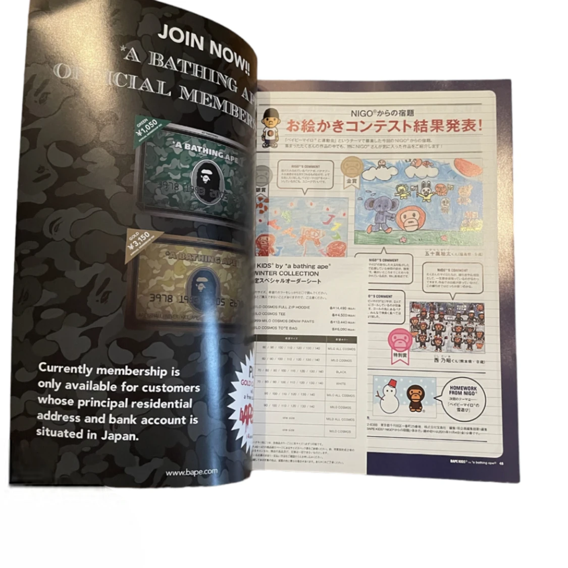 bape magazine 2011  - 91