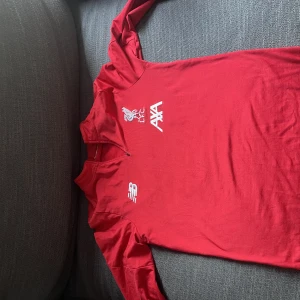 Liverpool tröja - Säljer min liverpool träningströja som är för liten. Storlek S och en liten skada på armen längst ner