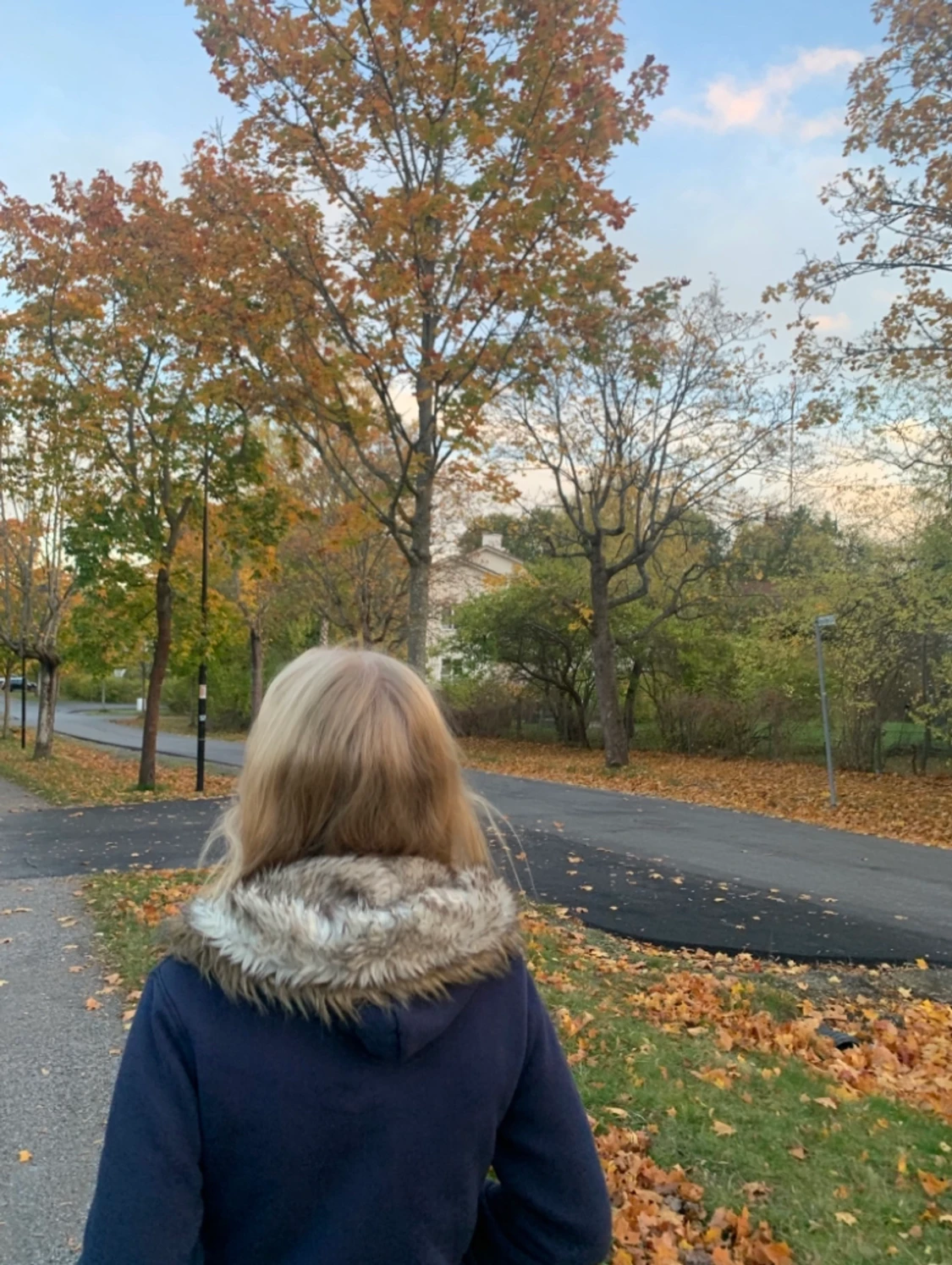 Höstig mörkblå Zip Up hoodie från Abercrombie & Fitch - 90