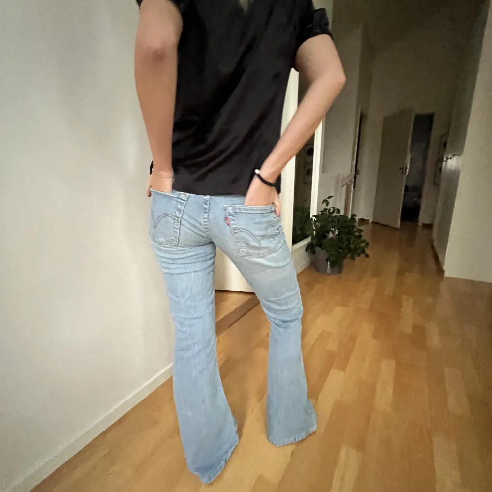 Levis 544 online