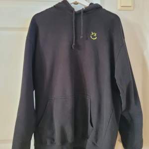 En hoodie från Louis Tomlinson som inte längre är tillgänglig💗 Super härlig och skön att ha på sig. Ordinaire pris 500kr. Köpare står för frakt😊