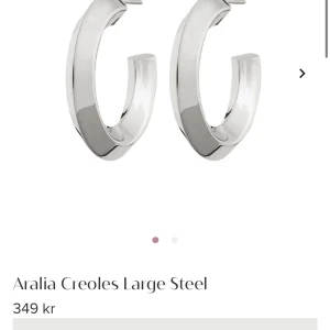 Edblad örhängen - Ett par örhängen från Edblad. Köpa men ångrade mig sen❤️  Skriv för mer bilder