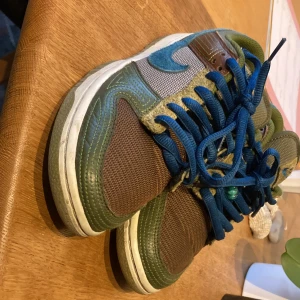 Dunks - Säljer mina helt nya dunks äkta bra skick