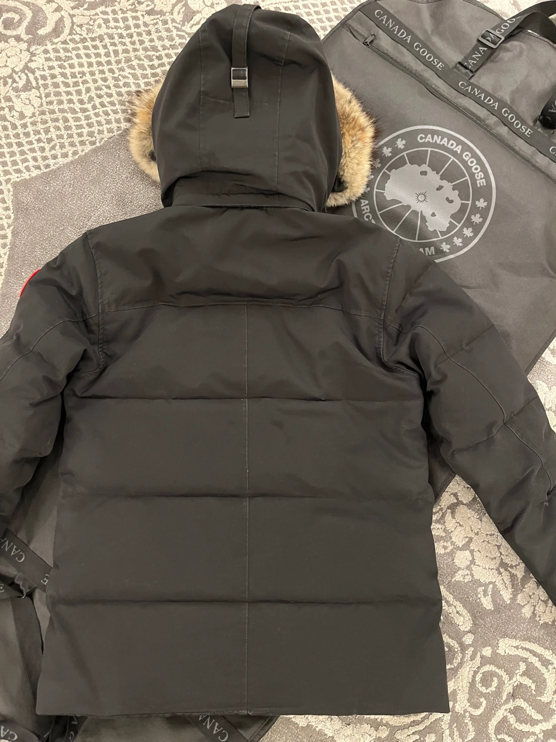 Canada goose  - 90