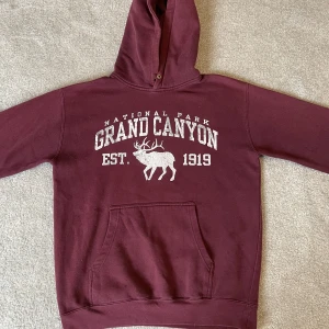 Vintage Hoodie - Röd vintage hoodie med utmärkt passform!