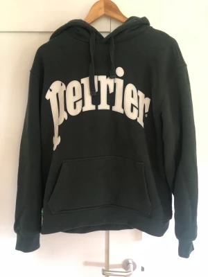 Hoodie - Hoodie från zara, mörkgrön