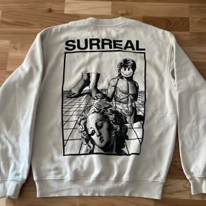 VAILENT sweatshirt - Säljer denna vailent sweatshirt då jag inte använder den längre 