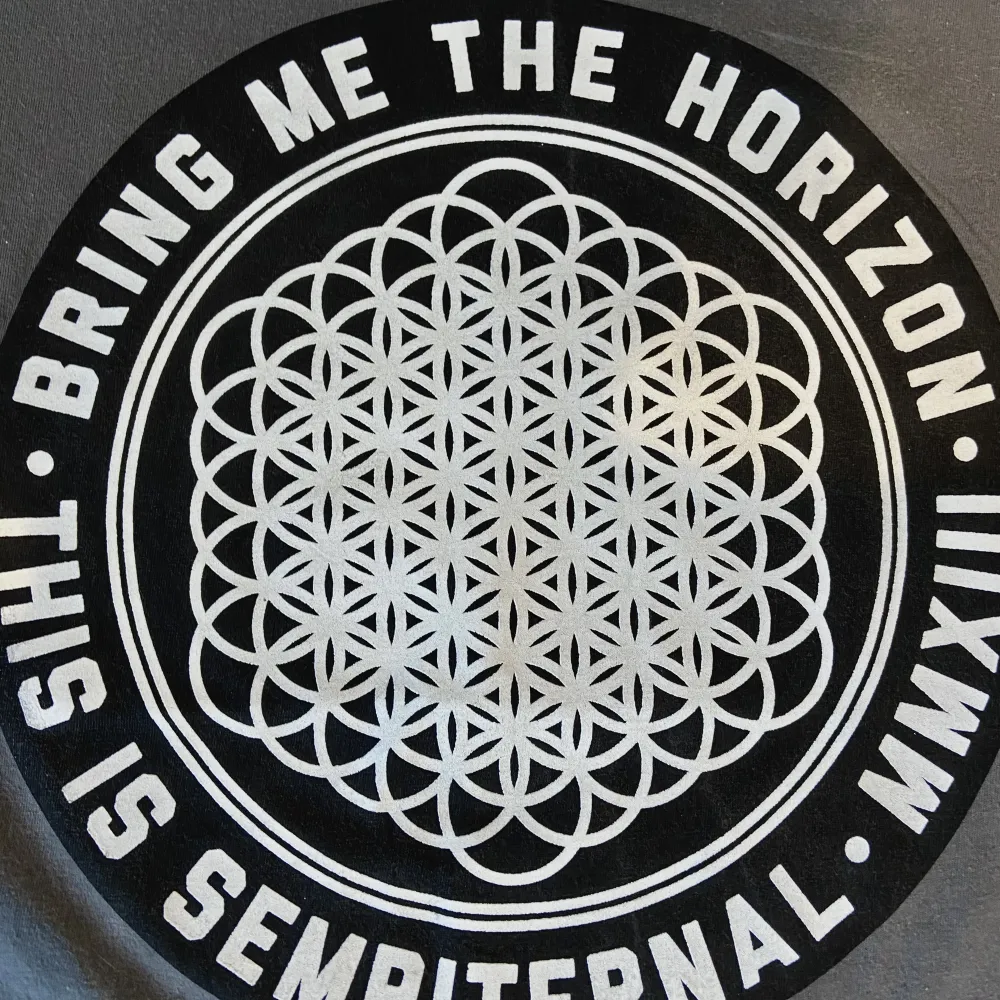 Säljer mig bring me the horizon tröja då jag inte andvänd den på väldigt länge, köpte den på chock. T-shirts.