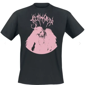 Jazmin Bean t-shirt - Använts extremt lite så säljer den trots att det är en favoritartist. 