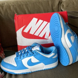 Ljusblå Nike Dunk Low Retro  - I helt nytt skick, använda 1 gång, ljusblå Nike Dunk Low Retro i storlek 45. Säljs för storleken var fel. Säljes i befintligt skick.