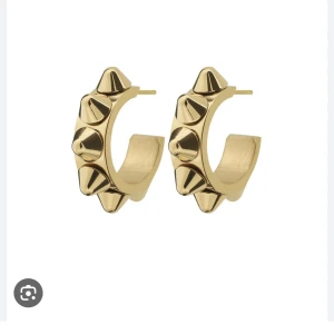 Edblad örhängen - Säljer dessa örhängen från Edblad❤️knappt använda så som nya❤️