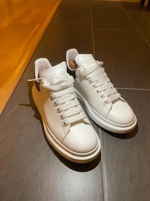 Alexander McQueen skor - Alexander Mcqueen skor, använda några gånger, otroligt fint skick, orginal förpackning ingår i köpet