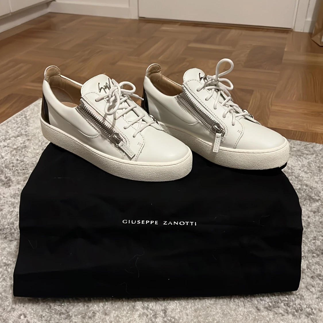 Giuseppe Zanotti 