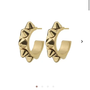 Edblad örhängen - Säljer nu mina fina edblad örhängen då jag inte använder dem längre. Knappt använda och köpta för 399kr 