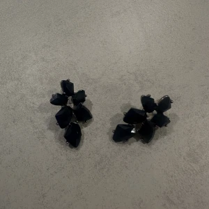 Öronhänge  - Öronhänge, aldrig använd. 30 kr 