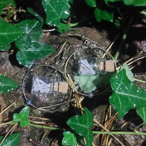 Små ben i örhängen  - Alla örhängen är handgjorda. Jag hittar alla ben ute i naturen, inget djur har kommit till skada för att skapa dessa smycken. Eleganta örhängen gjorda av riktiga ben. Korkarna på burkarna är avtagbara.