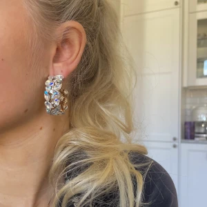 Zara örhängen - Festliga örhängen från Zara. Väl omhändertagna. Finns ej längre att köpa. 🌸