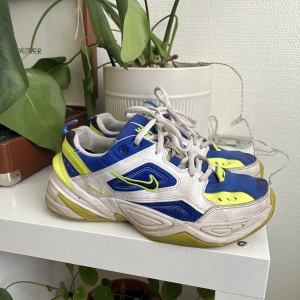 Nike skor - Nike skor