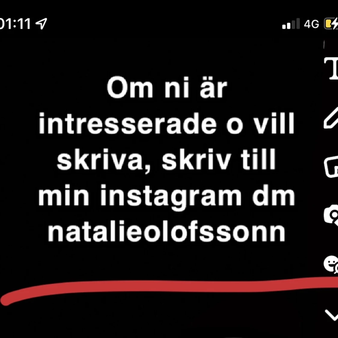 Om ni är intresserade och vill konversera med mig följ min instagram natalieolofssonn och skriv på min dm