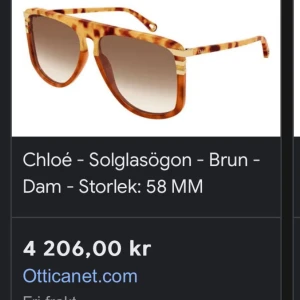 Solglasögon  - Helt nya original pris 4000 men säljer för 1500 för de passade inte mig så bra 