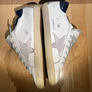 Golden goose - Golden goose