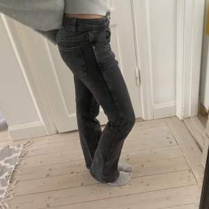 Säljer dessa Low waist bootcut jeans från zara i storlek 164 som passar upp till midjestorlek 26. De har ressor så de passar väldigt många storlekar. I längden så skulle jag säga att den passar dig med storlek 30. Jeansen är unika, speciellt med knapparna