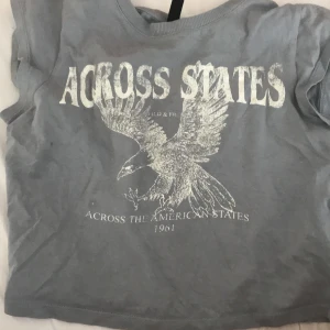 fin tröja i grå/blå - Säljer denna tröja pågrund av att den e för liten och kommmer alldrig till användning har trycket across states med en örn 