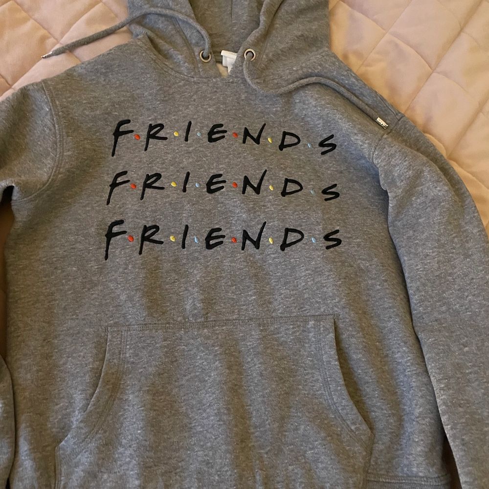 Fin hoodie , fint skick , billig pga frakt . Huvtröjor & Träningströjor.