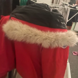 Canada goose  - Vet inte om den är äkta, storlek xl vill bara bli av me den så säljer den billigt 