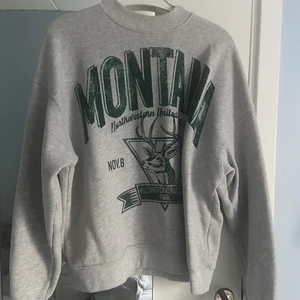 Sweatshirt  - Snygg sweatshirt från Bershka, knappt använd☺️