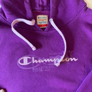 champion hoodie - INTRESSEKOLL! super snygg unik vintage hoodie passar s! buda i kommentarerna säljer vid bra bud