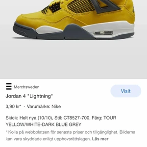 Säljer Jordans 4  - Helt nya direkt från pardon my kicks  storlek 38 pris 2999 träffas gbg