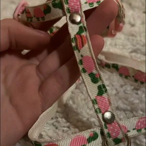 Handmade (kanin, katt) - Skiöldpad sele funkar bra till kanin, eller katter, aldrig använd (nyskick) 