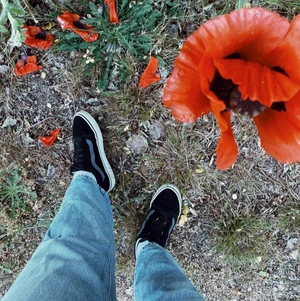 VANS Old Skool - VANS Old Skool reflexive🖤 Köpta i VANS butik i Amsterdam. Limited edition. Reflex på sidan och svarta snören. Använda sparsamt - ungefär totalt 20 gånger. Storlek 36.   Nypris: 949kr  Kolla gärna mina andra annonser - ger alltid paketpris 📦  Betalning via swish 💰   Skickas mot fraktkostnad - bjuder på frakten vid köp av mer än två saker ✅