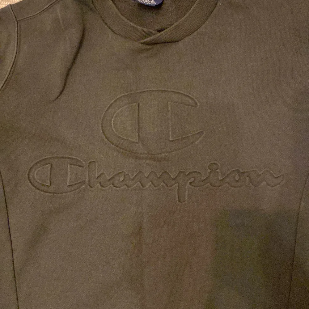 Säljer denna vintage hoodien från champion i storlek S eftersom den inte kommer till användning. Nästan oanvänd och i ny skick. Tröjor & Koftor.