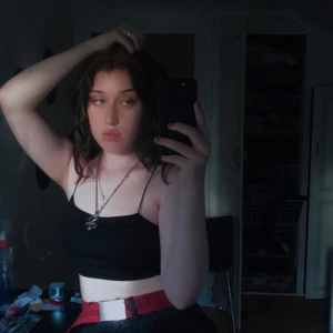 Croptop & bälte  - Säljer både tröjan och bältet,  (st pris: 40:- för bälte och 50:- för tröjan. Tröjan är från pretty little thing & bältet thriftat 