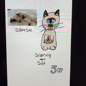 Slarviga stilar - Skicka bild på djur/ägare eller båda och välj stil tar Max 1 h att göra så dom e billiga! Välj vilken slarvighets grad så fixar jag✏️😎 resultat mejlas/sms eller skrivs ut o postas