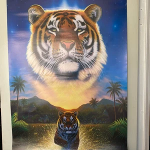 Tiger - Tiger poster
