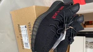Yeezy DS -  Never been worn brand new Yeezy‘s 
