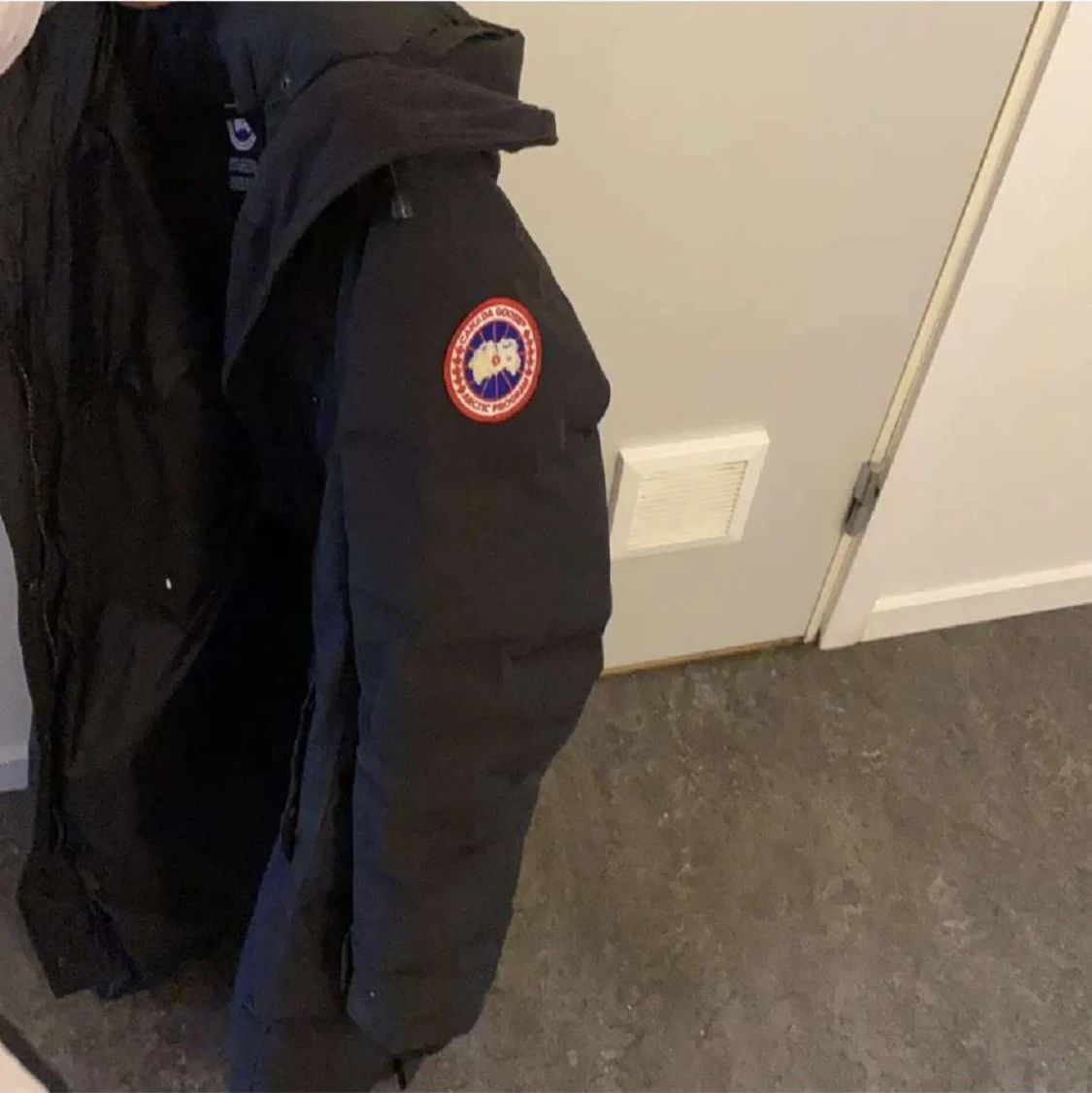 Canada goose (äkta)  - 91